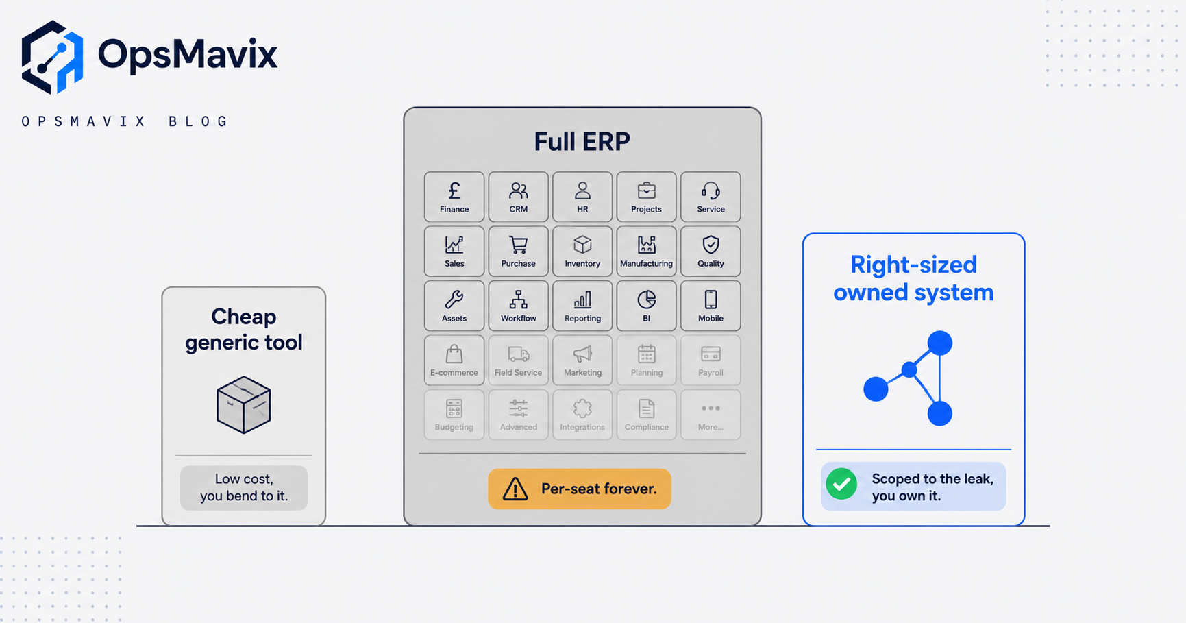 Three side-by-side option cards comparing a cheap generic tool, a heavy full ERP and a right-sized owned system scoped to the leak.