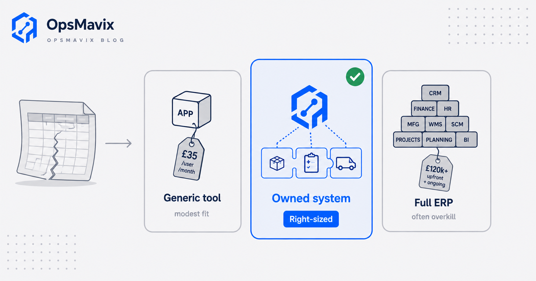 Three side-by-side options for a business past the spreadsheet: a cheap generic tool, a full ERP and a right-sized owned system, with the owned middle option marked as the fit.