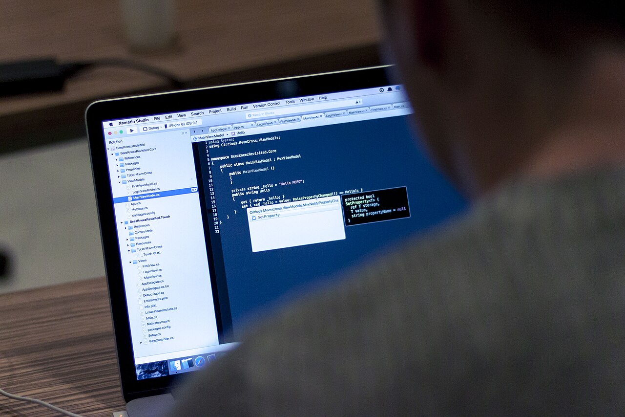 A developer viewing source code in a laptop development environment